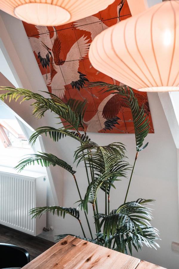 Casa Coral - A Hidden Gem For Families Apartment Groningen Ngoại thất bức ảnh